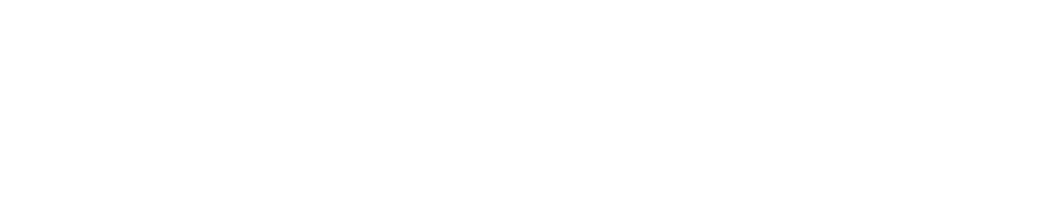 aladiyatautomobiles.com