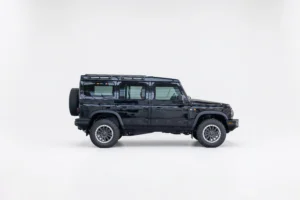 Grenadier-33 copy
